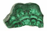 Polished Malachite Slab - DR Congo #266827-1